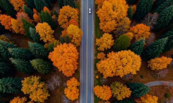 Discovering Fall Foliage with a Rental Car